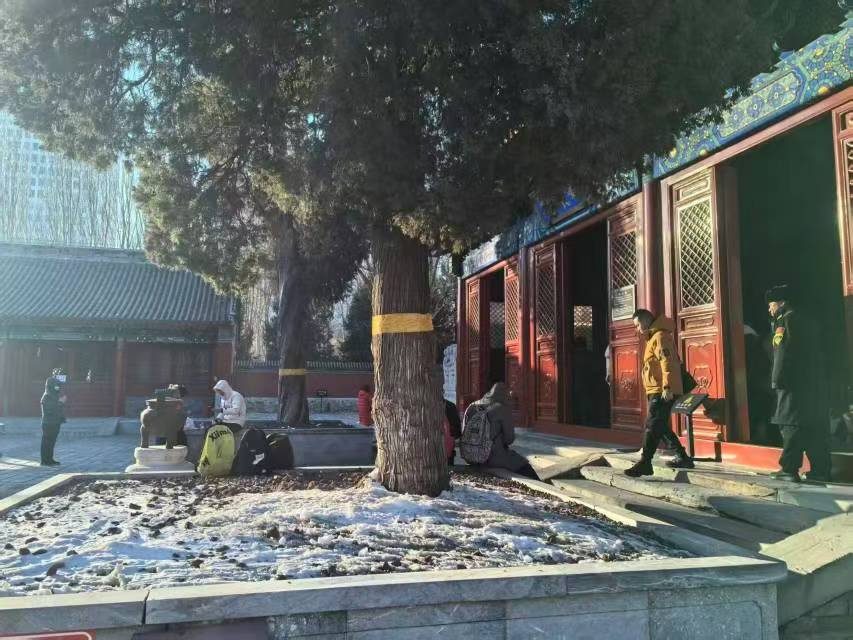 �α����������и�