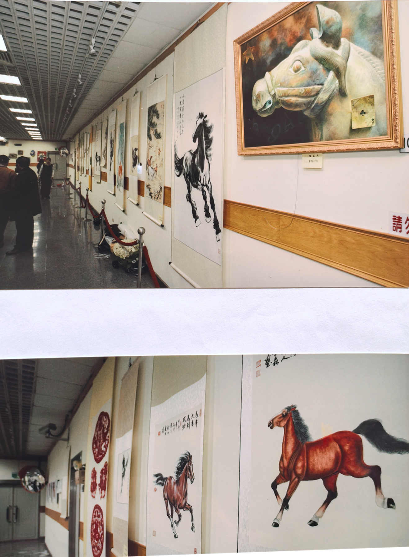 ����������³���������