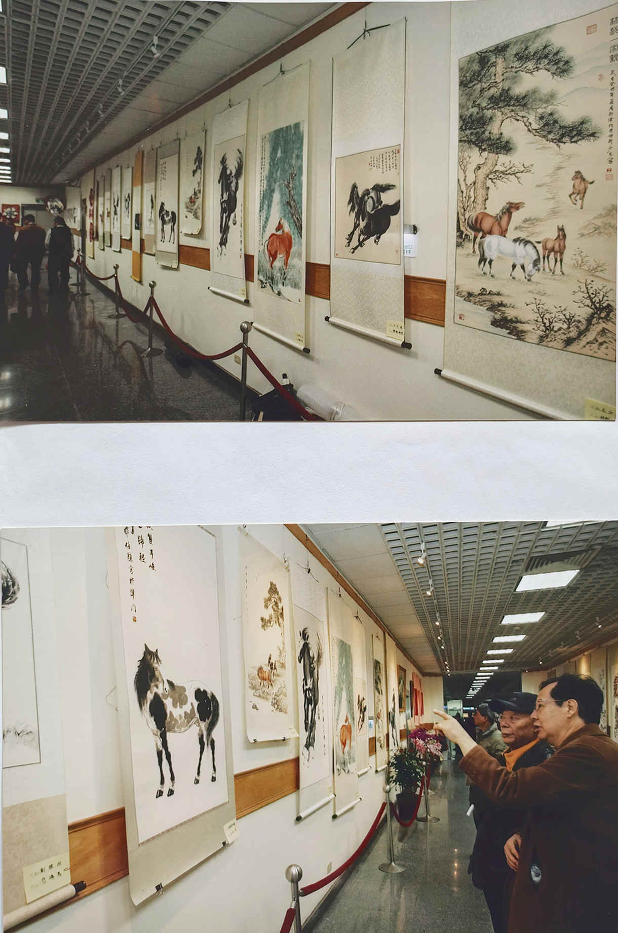 ����������³���������